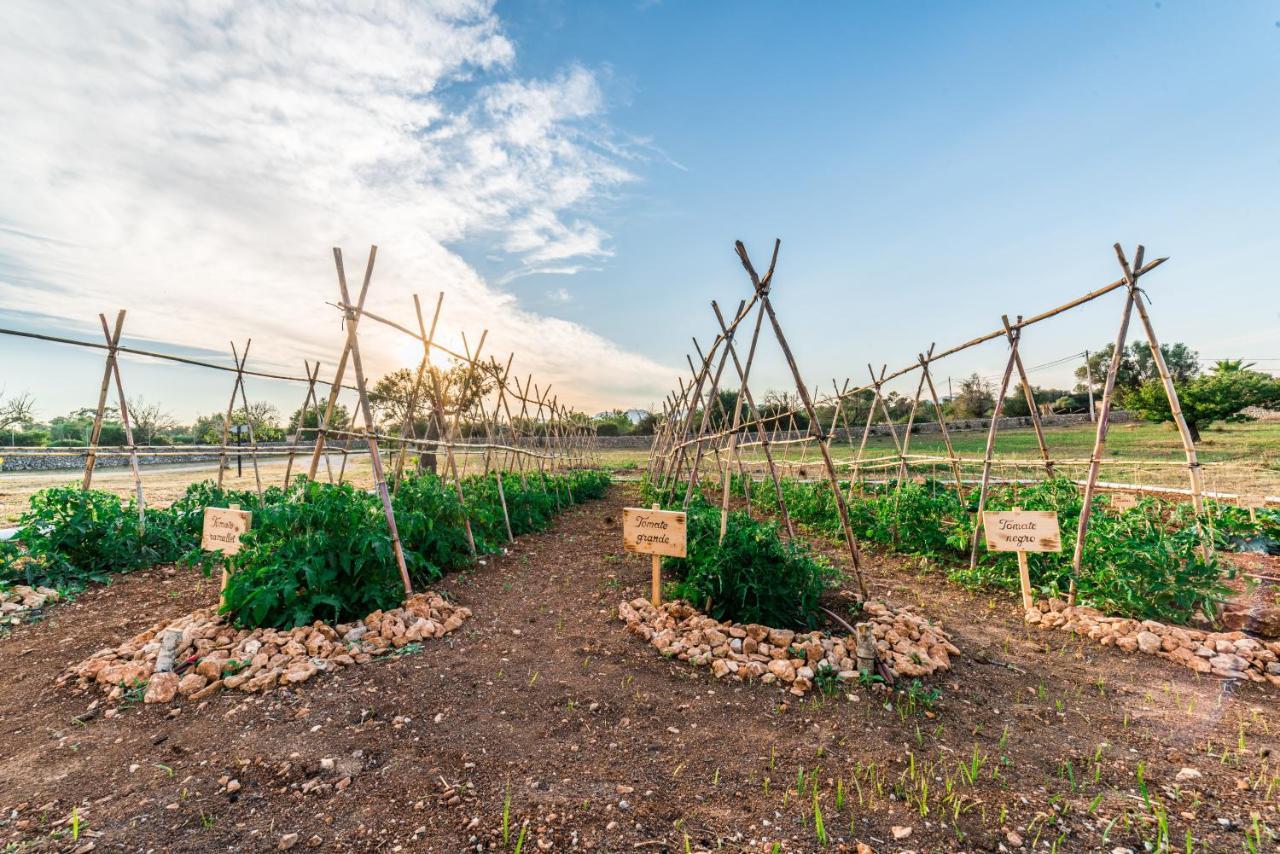 Farm stay Ses Illes